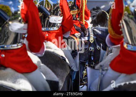 Les membres de la Household Cavalry hésitent lors de la première ouverture d'État du Parlement du roi Charles en tant que roi. 7 novembre 2023 Banque D'Images
