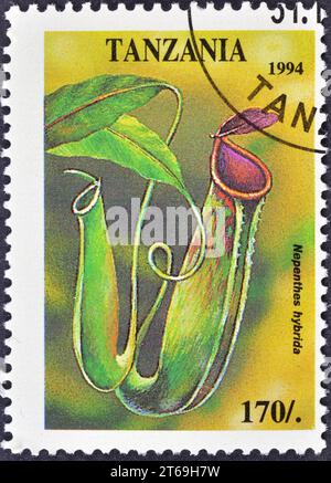 Timbre-poste annulé imprimé par la Tanzanie, qui montre Nepenthes hybrida, fleurs tropicales, vers 1994. Banque D'Images