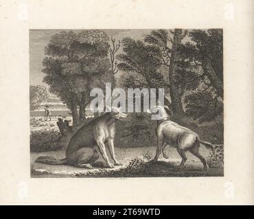 Le chien de berger et le loup. Dans les bois, le berger Lightfoot demande à un loup de ne pas attaquer son troupeau. Un berger surveille ses moutons dans un pâturage. Gravure sur plaque de coperplate de William Skelton d'après une illustration de John Wootton de Fables par John gay, avec a Life of the Author, John Stockdale, Londres, 1793. Banque D'Images