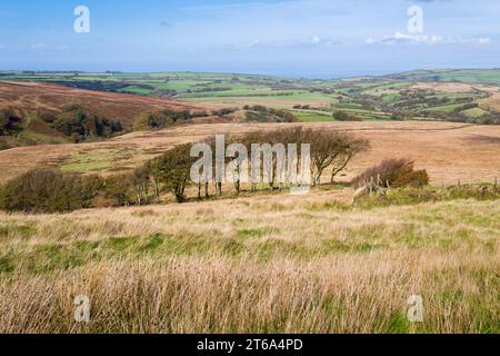 Saddle Gate sur le côté nord des chaînes avec la vallée de Wast Lyn au-delà dans le parc national d'Exmoor, Devon, Angleterre. Banque D'Images