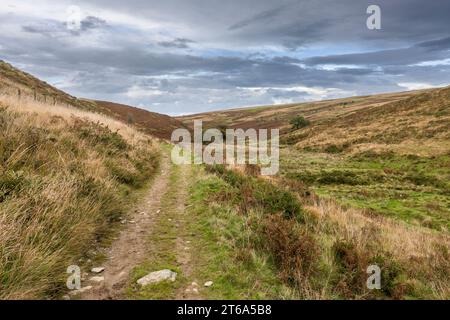 Le Tarka Trail et deux sentiers de randonnée Moors Way dans la vallée de Hoaroak Water sur le côté nord des chaînes dans le parc national d'Exmoor, Somerset, Angleterre. Banque D'Images