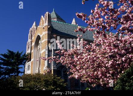 Henry Suzzallo Library, University of Washington, Seattle, Washington Banque D'Images