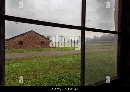 KZ Auschwitz durch ein Fenster sieht man ein gegenueber liegende Steinbaracke in der Frauen und Kinder gemeinsam untergebracht waren. Die Steinbaracken der Frauen und Kinder stehen getrennt von den Holzbaracken der Maenner auf der anderen Seite des Gelaendes. *** Camp de concentration d'Auschwitz par une fenêtre, vous pouvez voir une caserne de pierre en face où les femmes et les enfants étaient logés ensemble la caserne de pierre des femmes et des enfants est séparée de la caserne de bois des hommes de l'autre côté du terrain xMMx crédit : Imago/Alamy Live News Banque D'Images