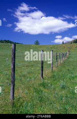 Clôture sur North Star Ranch Rd, Okanogan County, Washington Banque D'Images