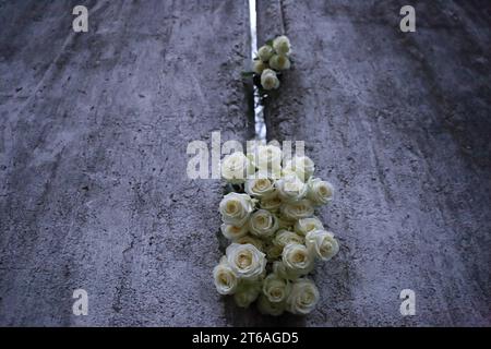 Weiße Rosen stecken in einem Mauersegment anlässlich des 34. Jahresstages des Falls der Berliner Mauer an der Mauergedenkstätte am Griebnitzsee in Potsdam, 9. Novembre 2023. Gedenken an Mauerfall in Potsdam *** Roses blanches coincées dans un segment de mur à l'occasion du 34e anniversaire de la chute du mur de Berlin au mémorial du mur à Griebnitzsee in Potsdam, le 9 novembre 2023 commémoration de la chute du mur à Potsdam crédit : Imago/Alamy Live News Banque D'Images