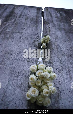 Weiße Rosen stecken in einem Mauersegment anlässlich des 34. Jahresstages des Falls der Berliner Mauer an der Mauergedenkstätte am Griebnitzsee in Potsdam, 9. Novembre 2023. Gedenken an Mauerfall in Potsdam *** Roses blanches coincées dans un segment de mur à l'occasion du 34e anniversaire de la chute du mur de Berlin au mémorial du mur à Griebnitzsee in Potsdam, le 9 novembre 2023 commémoration de la chute du mur à Potsdam crédit : Imago/Alamy Live News Banque D'Images