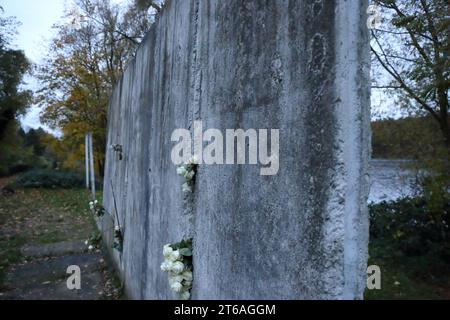 Weiße Rosen stecken in einem Mauersegment anlässlich des 34. Jahresstages des Falls der Berliner Mauer an der Mauergedenkstätte am Griebnitzsee in Potsdam, 9. Novembre 2023. Gedenken an Mauerfall in Potsdam *** Roses blanches coincées dans un segment de mur à l'occasion du 34e anniversaire de la chute du mur de Berlin au mémorial du mur à Griebnitzsee in Potsdam, le 9 novembre 2023 commémoration de la chute du mur à Potsdam crédit : Imago/Alamy Live News Banque D'Images