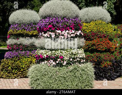 Parterres pyramidaux ornés de pétunias multicolores et autres fleurs dans les rues de la ville Banque D'Images