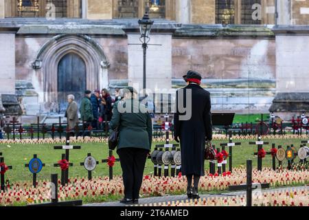 Londres, Royaume-Uni. 09 novembre 2023. Abbaye de Westminster champ de mémoire ouvert au public crédit : Ian Davidson/Alamy Live News Banque D'Images