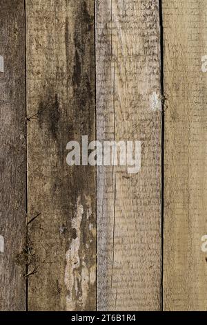 Une image captivante avec des planches de pin vieillis uniformément disposées, mettant en valeur une gamme de couleurs de bois influencées par les éléments : pluie, soleil et vent. Le Banque D'Images