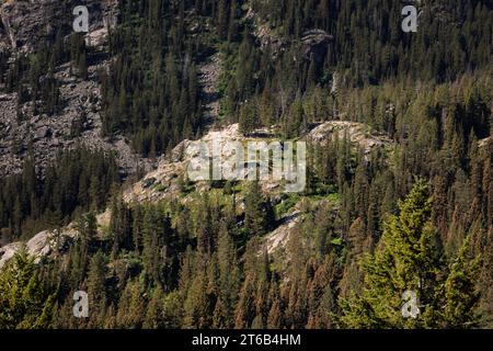 WY05694-00...WYOMING - inspiration point , une destination de randonnée populaire depuis le bateau-navette Jenny Lake débarquant dans le parc national de Grand Teton. Banque D'Images