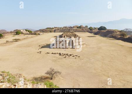 Les superbes ruines perchées de Monte Alban, l'ancienne capitale zapotèque Banque D'Images