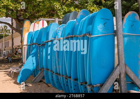 Honolulu, Oahu, HI, US-October 29, 2023 : rangées de planches de surf à louer sur la célèbre plage de Waikiki. Banque D'Images