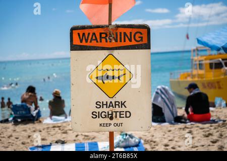 Honolulu, Oahu, HI, US-October 29, 2023 : panneau d'avertissement indiquant 'Shark Sight' sur Waikiki Beach. Banque D'Images