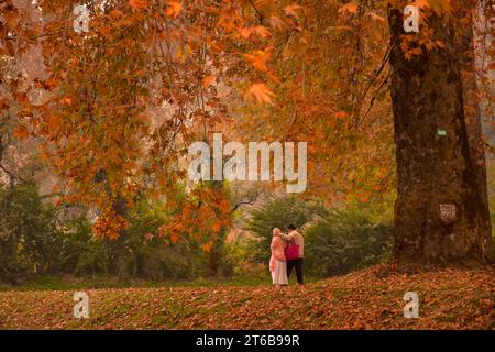 Srinagar, Inde. 09 novembre 2023. Un couple de touristes indiens se promène dans un jardin lors d'une journée d'automne à Srinagar. L'automne, connu localement sous le nom de Harud, est une saison de récolte au Cachemire avec des arbres changeant de couleur tandis que les heures de lumière du jour deviennent plus courtes à l'approche de l'hiver. (Photo Saqib Majeed/SOPA Images/Sipa USA) crédit : SIPA USA/Alamy Live News Banque D'Images