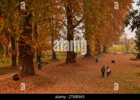 Srinagar, Inde. 09 novembre 2023. Les visiteurs se promènent dans un jardin lors d'une journée d'automne à Srinagar. L'automne, connu localement sous le nom de Harud, est une saison de récolte au Cachemire avec des arbres changeant de couleur tandis que les heures de lumière du jour deviennent plus courtes à l'approche de l'hiver. (Photo Saqib Majeed/SOPA Images/Sipa USA) crédit : SIPA USA/Alamy Live News Banque D'Images