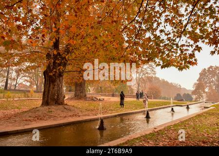 Srinagar, Inde. 09 novembre 2023. Les visiteurs se promènent dans un jardin lors d'une journée d'automne à Srinagar. L'automne, connu localement sous le nom de Harud, est une saison de récolte au Cachemire avec des arbres changeant de couleur tandis que les heures de lumière du jour deviennent plus courtes à l'approche de l'hiver. (Photo Saqib Majeed/SOPA Images/Sipa USA) crédit : SIPA USA/Alamy Live News Banque D'Images