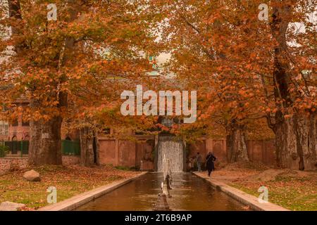 Srinagar, Inde. 09 novembre 2023. Les visiteurs se promènent dans un jardin lors d'une journée d'automne à Srinagar. L'automne, connu localement sous le nom de Harud, est une saison de récolte au Cachemire avec des arbres changeant de couleur tandis que les heures de lumière du jour deviennent plus courtes à l'approche de l'hiver. (Photo Saqib Majeed/SOPA Images/Sipa USA) crédit : SIPA USA/Alamy Live News Banque D'Images