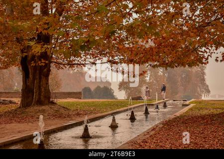 Srinagar, Inde. 09 novembre 2023. Les visiteurs se promènent dans un jardin lors d'une journée d'automne à Srinagar. L'automne, connu localement sous le nom de Harud, est une saison de récolte au Cachemire avec des arbres changeant de couleur tandis que les heures de lumière du jour deviennent plus courtes à l'approche de l'hiver. (Photo Saqib Majeed/SOPA Images/Sipa USA) crédit : SIPA USA/Alamy Live News Banque D'Images