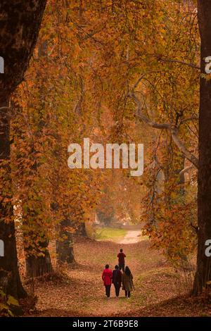 Srinagar, Inde. 09 novembre 2023. Les visiteurs se promènent dans un jardin lors d'une journée d'automne à Srinagar. L'automne, connu localement sous le nom de Harud, est une saison de récolte au Cachemire avec des arbres changeant de couleur tandis que les heures de lumière du jour deviennent plus courtes à l'approche de l'hiver. (Photo Saqib Majeed/SOPA Images/Sipa USA) crédit : SIPA USA/Alamy Live News Banque D'Images