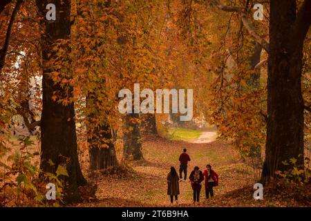 Srinagar, Inde. 09 novembre 2023. Les visiteurs se promènent dans un jardin lors d'une journée d'automne à Srinagar. L'automne, connu localement sous le nom de Harud, est une saison de récolte au Cachemire avec des arbres changeant de couleur tandis que les heures de lumière du jour deviennent plus courtes à l'approche de l'hiver. (Photo Saqib Majeed/SOPA Images/Sipa USA) crédit : SIPA USA/Alamy Live News Banque D'Images