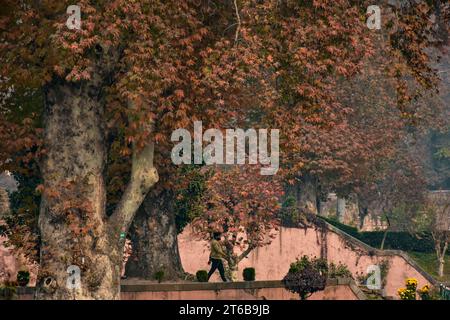 Srinagar, Inde. 09 novembre 2023. Un visiteur se promène dans un jardin lors d’une journée d’automne à Srinagar. L'automne, connu localement sous le nom de Harud, est une saison de récolte au Cachemire avec des arbres changeant de couleur tandis que les heures de lumière du jour deviennent plus courtes à l'approche de l'hiver. (Photo Saqib Majeed/SOPA Images/Sipa USA) crédit : SIPA USA/Alamy Live News Banque D'Images