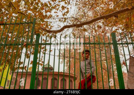 Srinagar, Inde. 09 novembre 2023. Un garçon cachemiri vu près de la clôture pendant une journée d'automne à Srinagar. L'automne, connu localement sous le nom de Harud, est une saison de récolte au Cachemire avec des arbres changeant de couleur tandis que les heures de lumière du jour deviennent plus courtes à l'approche de l'hiver. (Photo Saqib Majeed/SOPA Images/Sipa USA) crédit : SIPA USA/Alamy Live News Banque D'Images