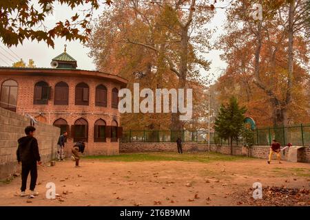 Srinagar, Inde. 09 novembre 2023. Les garçons cachemiris jouent au cricket pendant une journée d'automne à Srinagar. L'automne, connu localement sous le nom de Harud, est une saison de récolte au Cachemire avec des arbres changeant de couleur tandis que les heures de lumière du jour deviennent plus courtes à l'approche de l'hiver. (Photo Saqib Majeed/SOPA Images/Sipa USA) crédit : SIPA USA/Alamy Live News Banque D'Images