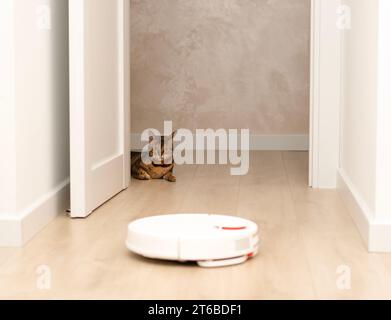 Concept animaux. Un beau chat léopard rayé, ludique, de race Bengale, se couche drôle, regarde derrière la porte et regarde un robot aspirateur blanc cl Banque D'Images