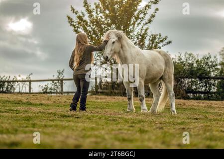 Une jeune femme et son cheval islandais travaillant et câlinant ensemble, concept d'équitation naturelle équestre Banque D'Images