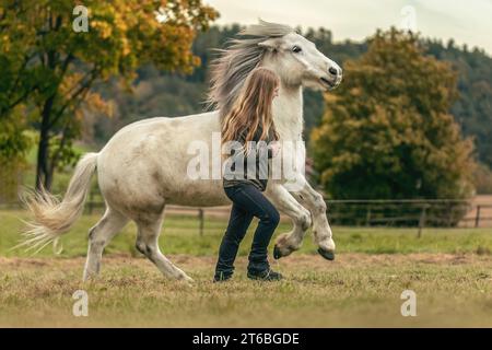 Une jeune femme et son cheval islandais travaillant et câlinant ensemble, concept d'équitation naturelle équestre Banque D'Images