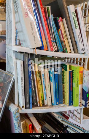 Divers livres exposés dans la bibliothèque pour la vente à l'intérieur du magasin de biens d'occasion et de biens meubles. Banque D'Images