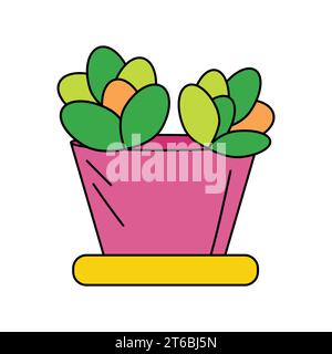 Echeveria cactus en jardinière rose avec bac de récupération jaune Illustration de Vecteur