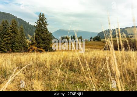 Impression de paysage de l'Alpe di Siusi (Seiser Alm), Dolomites, Italie, en automne en plein air Banque D'Images