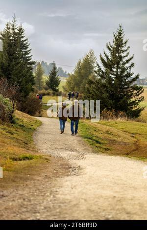 Impression de paysage de l'Alpe di Siusi (Seiser Alm), Dolomites, Italie, en automne en plein air Banque D'Images