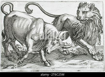 Un taureau attaquant un Lion, 1610. De Fightling Animals, pl. 7. Banque D'Images