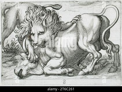 Un Lion attaquant un taureau, 1610. De Fightling Animals, pl. 8. Banque D'Images