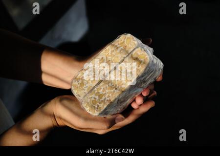 Le tempeh ou tempe est un aliment traditionnel indonésien à base de soja fermenté. Banque D'Images