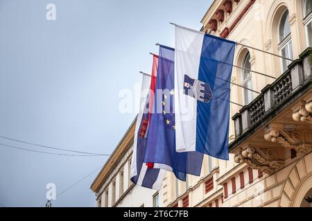 Photo des armoiries d'Osijek sur leur drapeau officiel. Osijek est la quatrième plus grande ville de Croatie, avec une population de 96 848 habitants en 2021. C'est Th Banque D'Images