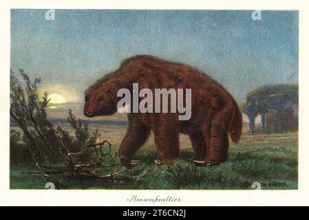 Megatherium americanum (Grande Bête) au clair de lune. Megatherium est un genre éteint de paresseux de la taille d'un éléphant originaire d'Amérique du Pliocène au Pléistocène. Riesenfaultier. Illustration imprimée en couleur par Heinrich Harder de Wilhelm Bolsches Tiere der Urwelt (animaux du monde préhistorique), Reichardt Cocoa Company, Hambourg, 1908. Heinrich Harder (1858-1935) était un paysagiste allemand et illustrateur de livres. Banque D'Images