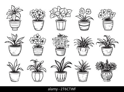 Décorez des illustrations en noir et blanc de plantes d'intérieur. Fleurs maison Illustration de Vecteur