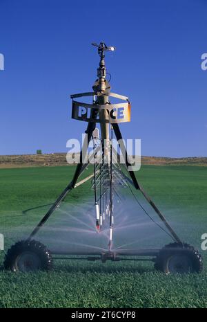 Matériel d'irrigation, comté de Grant, Washington Banque D'Images