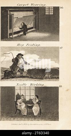 Métiers dans Regency Angleterre. Tisserand de tapis dans un métier à tisser à Wilton en 16, éleveur de porcs nourrissant des porcs dans le Hampshire en 17, et femmes tricotant et brodant avec des aiguilles fabriquées à Chichester en 18. Gravure sur bois du révérend Isaac Taylors scènes de la richesse britannique, dans Produce, Manufacture and Commerce, John Harris, Londres, 1823. Isaac Taylor était un écrivain, artiste, graveur et inventeur anglais de 1787 à 1865. Banque D'Images