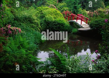 Pont de lune, Kubota Jardin, Seattle, Washington Banque D'Images