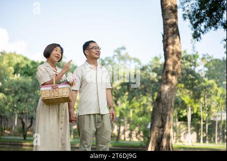 Heureux couples asiatiques seniors aiment parler et se tenir la main tout en se promenant dans le parc verdoyant par une journée lumineuse ensemble. Une vie conjugale heureuse, Banque D'Images