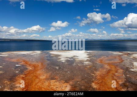 Le ruissellement chargé de minéraux du West Thumb Geyser Basin se dirige vers le lac Yellowstone dans le parc national de Yellowstone. Banque D'Images