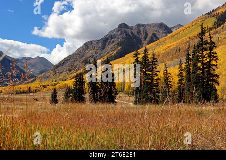 L'automne tourne les trembles entre les montagnes et les hautes prairies sur la boucle alpine. Le Banque D'Images