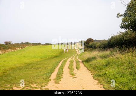 Île de Purbeck Dorset côte, sentier chemin de randonnée à Old Harry Rocks formation géologique sur la côte, Angleterre, Royaume-Uni, 2023 Banque D'Images