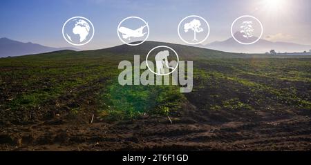 Ressources pédagogiques sur le tourisme et l'agriculture, plantation de caoutchouc, préparation de la zone pour la culture de caoutchouc, Panorama Banque D'Images