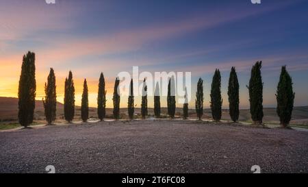 SAN QUIRICO d'ORCIA, TOSCANE / ITALIE - 27 octobre 2023 : le cercle des cyprès de San Quirico d'Orcia dans le Val d'Orcia, lors d'un coucher de soleil coloré à au Banque D'Images